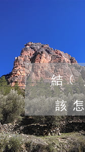 結(jié)婚彩禮的錢(qián)離婚該怎么分(彩禮錢(qián)離婚了要平分嗎)