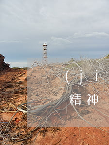結(jié)婚影像被婚慶公司丟失，起訴索賠精神損害賠償