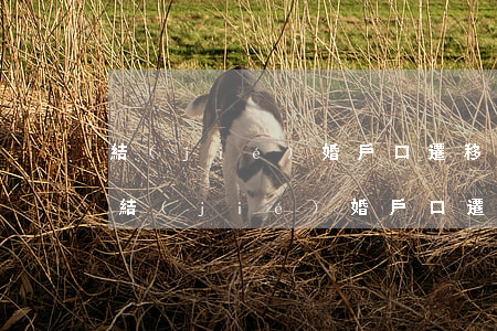 結(jié)婚戶口遷移手續(xù)流程(結(jié)婚戶口遷移手續(xù)流程北京)