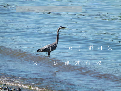 結(jié)婚打欠條受法律保護嗎(如何打欠條法律才有效)