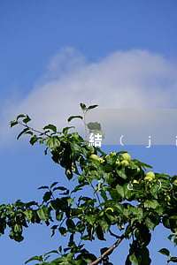 結(jié)婚有信用卡逾期可以辦結(jié)婚證嗎-結(jié)婚有信用卡逾期可以辦結(jié)婚證嗎知乎