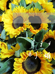 結(jié)婚未領(lǐng)結(jié)婚證怎么離婚