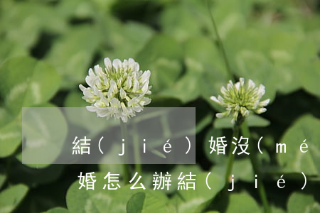 結(jié)婚沒(méi)懷孕老公提離婚怎么辦(結(jié)婚了要離婚但是懷孕了,怎么解決合適)