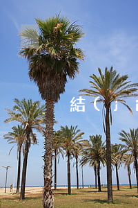 結(jié)婚沒拿證離婚怎么辦