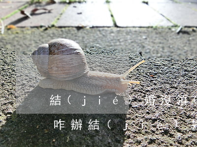 結(jié)婚沒領(lǐng)證想離婚咋辦(結(jié)婚沒領(lǐng)證想離婚咋辦)