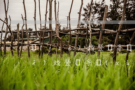 結(jié)婚登記手續(xù)(結(jié)婚登記手續(xù)費(fèi)多少錢(qián))