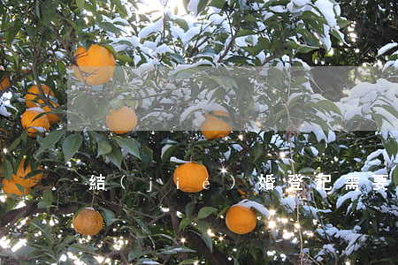 結(jié)婚登記需要什么材料