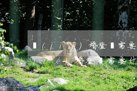 結(jié)婚登記需要什么材料(廣州結(jié)婚登記需要什么材料)