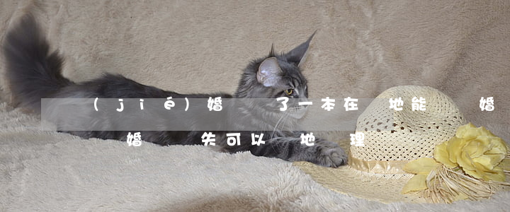 結(jié)婚證丟了一本在異地能辦離婚嗎(離婚證遺失可以異地辦理嗎)