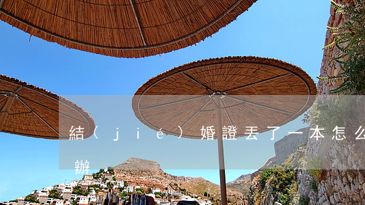 結(jié)婚證丟了一本怎么補(bǔ)辦
