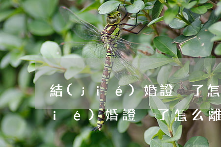 結(jié)婚證丟了怎么離婚(雙方結(jié)婚證丟了怎么離婚)