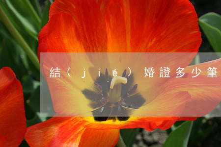 結(jié)婚證多少筆畫
