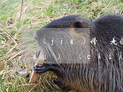 結(jié)婚證是假的怎么離婚分財(cái)產(chǎn)案例(離婚明證局會(huì)問(wèn)財(cái)產(chǎn)分割這些問(wèn)題嗎)