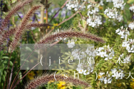 結(jié)婚證樣本圖片(結(jié)婚證書(shū)圖片大全)