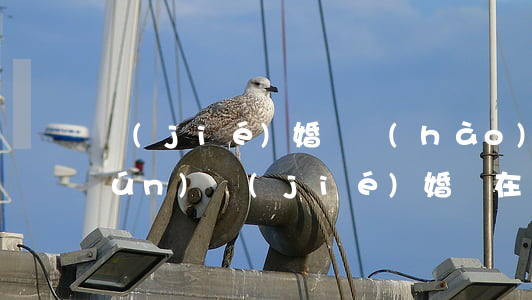 結(jié)婚證號(hào)碼查詢(xún)(結(jié)婚證在線(xiàn)查詢(xún))