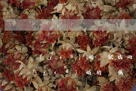 結(jié)婚證被收回想離婚該怎么辦(結(jié)婚的時候離婚證會收回去嗎)