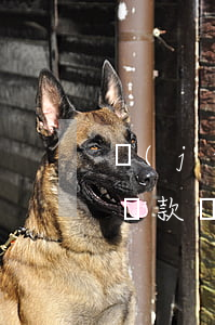 結(jié)婚貸款還不起(結(jié)婚貸款還不起怎么處理)