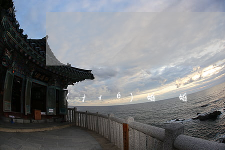 結(jié)婚   離婚