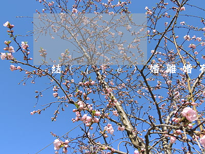 結(jié)婚離婚有記錄嗎