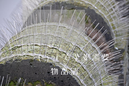 結(jié)婚需要準備什么東西(婚禮需要準備物品清單)