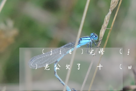 結(jié)完婚發(fā)現(xiàn)老公欠了幾十萬(wàn)網(wǎng)貸(欠了30多萬(wàn)的網(wǎng)貸老公還能要嗎)