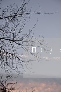 結(jié)腸癌想離婚怎么辦