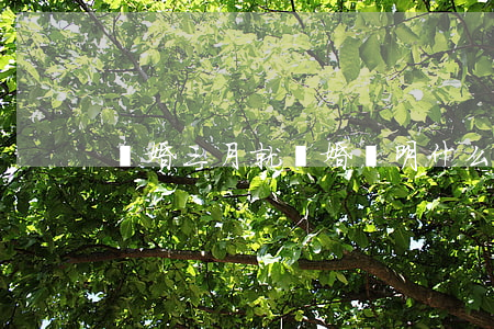 結婚三月就離婚說明什么(結婚三個月就離婚)