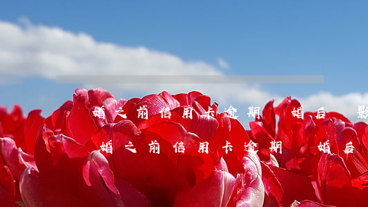 結婚之前信用卡逾期結婚后會影響對方嗎?-結婚之前信用卡逾期結婚后會影響對方嗎