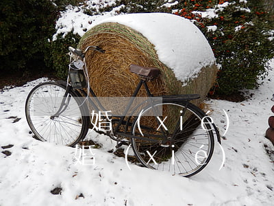結婚協(xié)議書有結婚證的效力嗎(結婚協(xié)議書具有法律效力嗎)