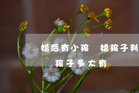 結婚后有小孩離婚孩子判給誰(離婚孩子會判給誰孩子多大有選擇)