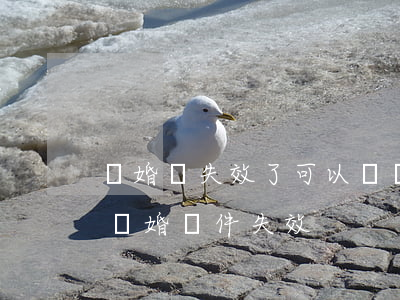 結婚證失效了可以訴訟離婚嗎(結婚證上雙方離婚證件失效)
