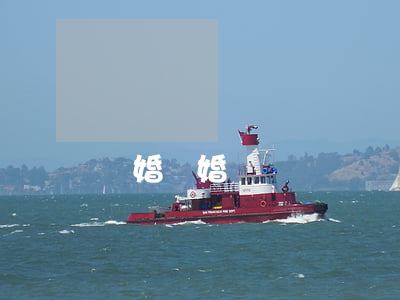 結婚   離婚