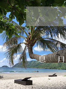 結息當月還款不算逾期(按月付息,到期還本)