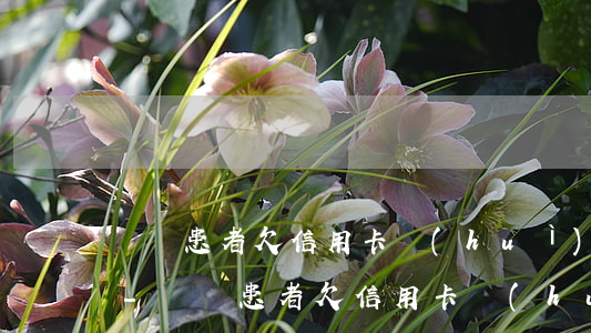 絕癥患者欠信用卡會(huì)影響家人嗎-絕癥患者欠信用卡會(huì)影響家人嗎知乎