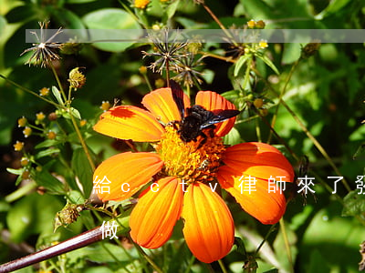 給cctv律師來了發(fā)送郵件怎么做