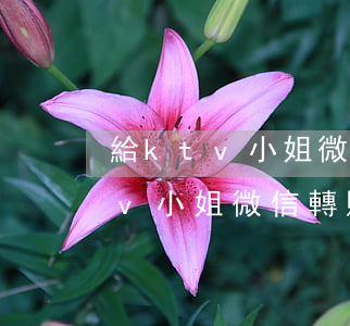 給ktv小姐微信轉賬可以起訴嗎-給ktv小姐微信轉賬可以起訴嗎有效嗎