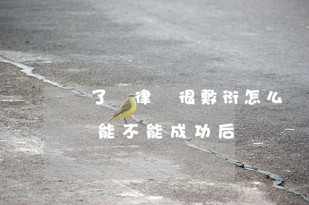 給了錢律師很敷衍怎么辦(請(qǐng)律師能不能成功后給錢)