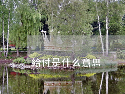 給付是什么意思