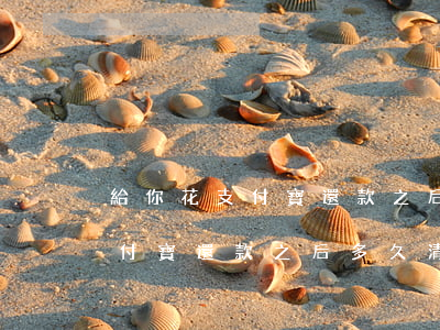 給你花支付寶還款之后多久清賬-給你花支付寶還款之后多久清賬啊