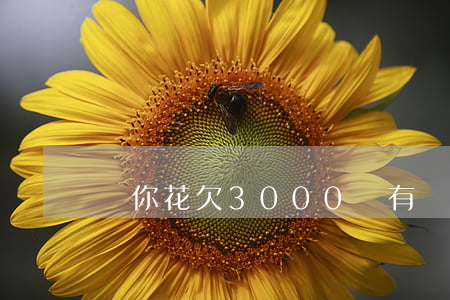 給你花欠3000沒有還怎么辦-