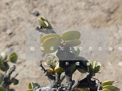 給你花欠3000(給你花欠款1500逾期三年了不還會怎么樣)