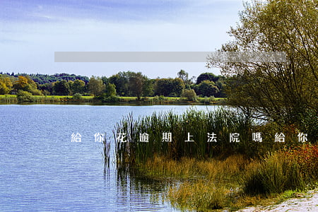 給你花逾期上法院嗎(給你花逾期上法院嗎)