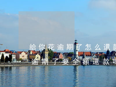 給你花逾期了怎么還款(有錢(qián)花逾期了要全額還款嗎)