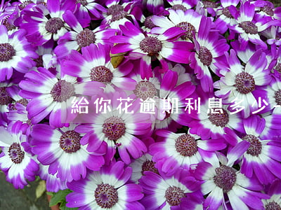 給你花逾期利息多少-借去花逾期罰息多少