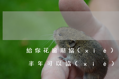 給你花逾期協(xié)商還款(有錢花逾期半年可以協(xié)商還款嗎)
