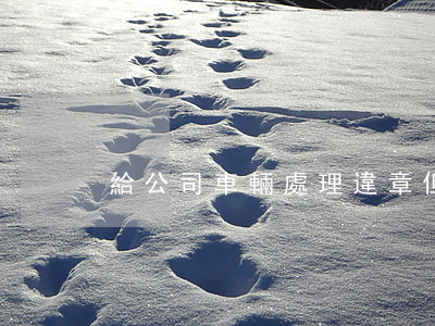 給公司車輛處理違章但是沒交費可以年檢嗎