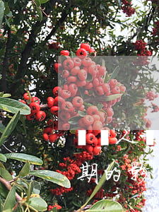 給別人擔保別人擔保逾期(給別人做擔保人逾期的影響)