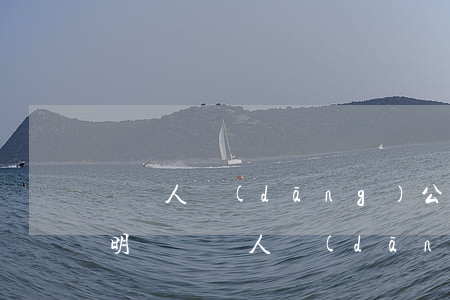 給別人當(dāng)公司法人可以寫份聲明嗎(給別人當(dāng)公司法人可以寫份聲明嗎)