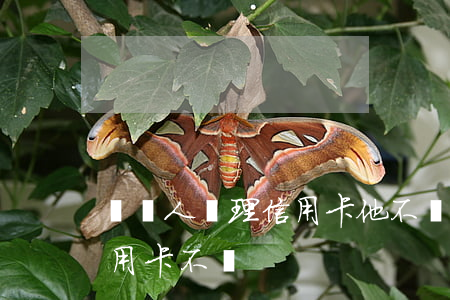給別人辦理信用卡他不還(別人以我名義辦信用卡不還)