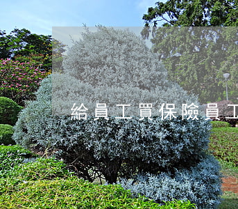 給員工買保險(員工保險怎么買)